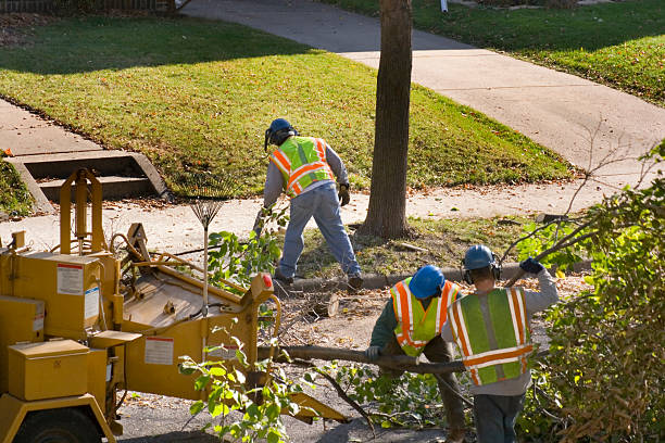 Best Tree Cabling and Bracing  in Newtown Grant, PA